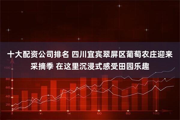 十大配资公司排名 四川宜宾翠屏区葡萄农庄迎来采摘季 在这里沉浸式感受田园乐趣