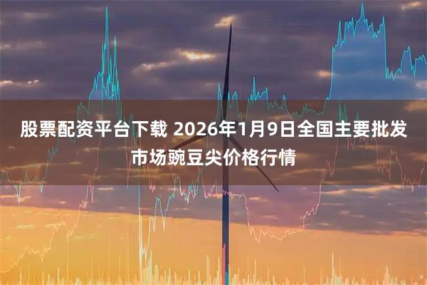 股票配资平台下载 2026年1月9日全国主要批发市场豌豆尖价格行情